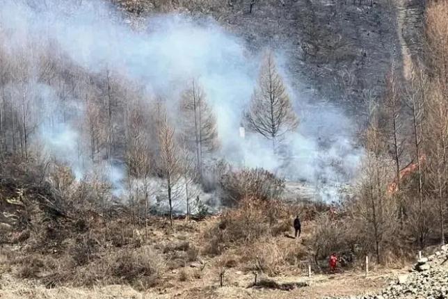 明火已撲滅，初步判斷由祭祀用火引發！今年已發生多起